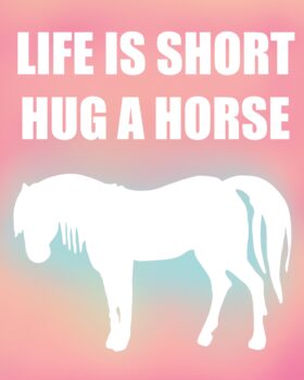 Hug A Horse